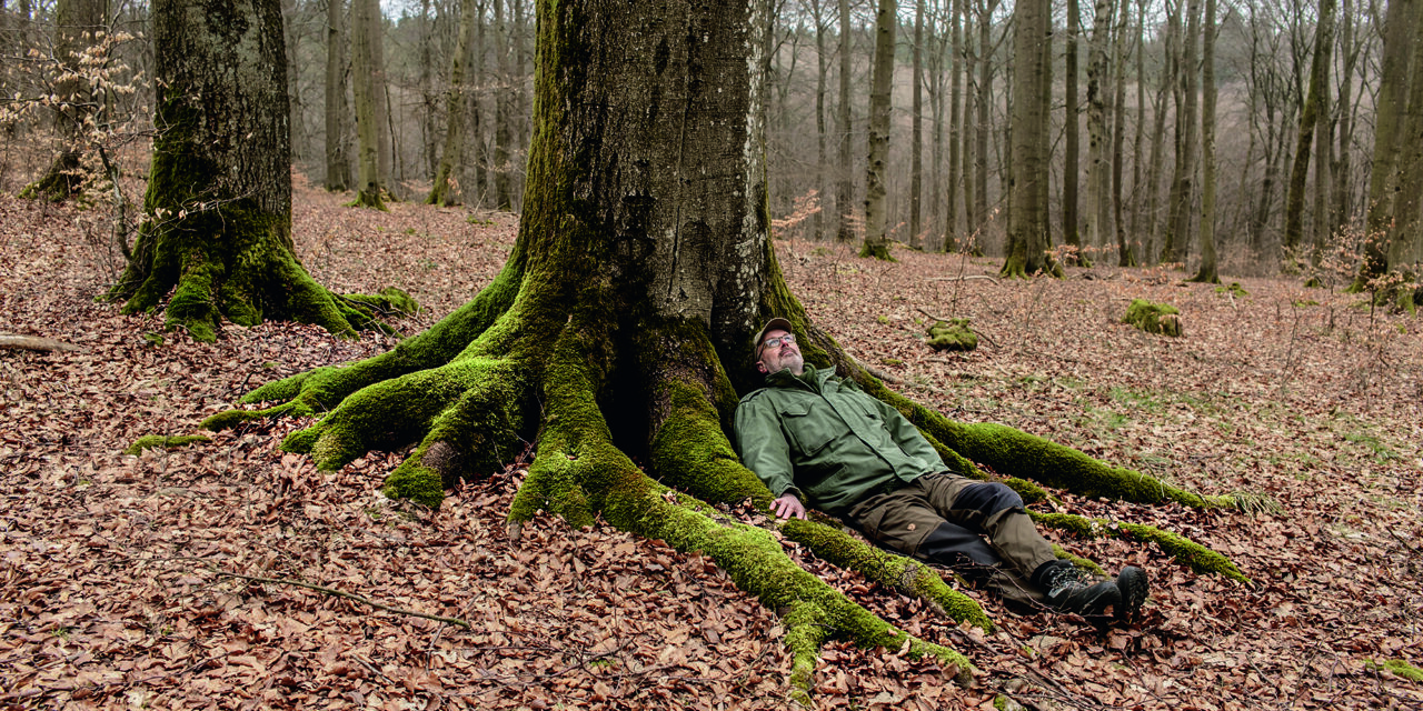 La vie secrète des arbres